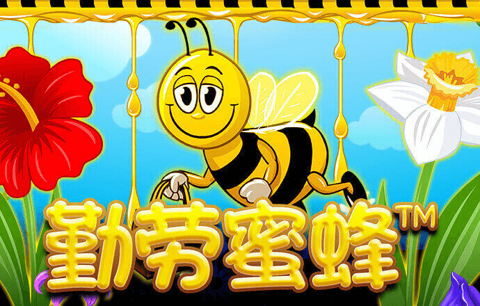鸿博体育app官网下载手机版